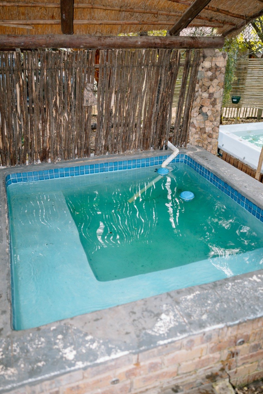 Swimming pool and Jacuzzi area